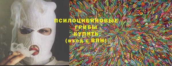 спиды Абаза